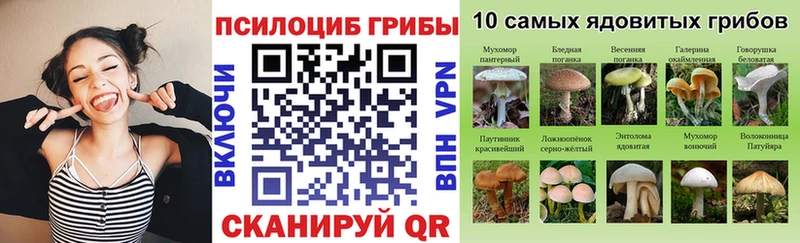 Галлюциногенные грибы Magic Shrooms  Купить где  Барабинск 